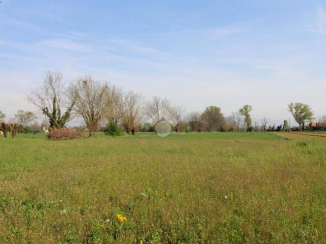 Terreno in vendita a Ghedi, Lombardia