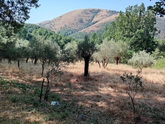 Terreno in vendita a Giano Vetusto, Campania