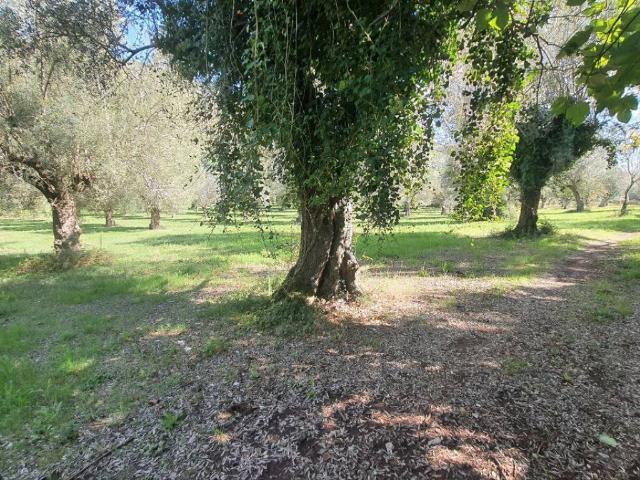 Terreno in vendita a Giano Vetusto, Campania