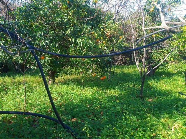 Terreno in vendita a Giarre, Sicilia