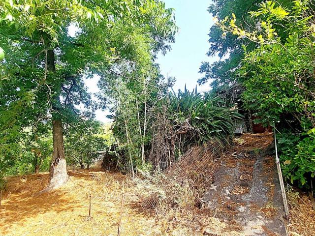 Terreno in vendita a Sciara, Giarre