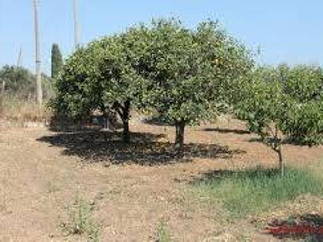Terreno in vendita a Giarre, Sicilia