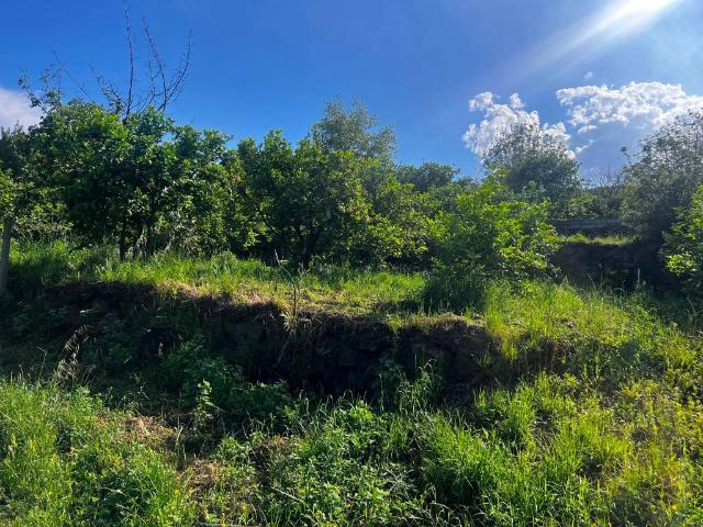 Terreno in vendita a Giarre, Sicilia