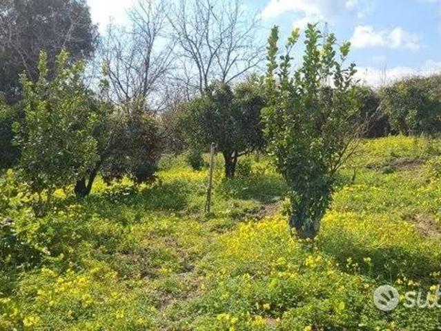 Terreno in vendita a Giarre, Sicilia