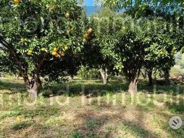 Terreno in vendita a Giarre, Sicilia