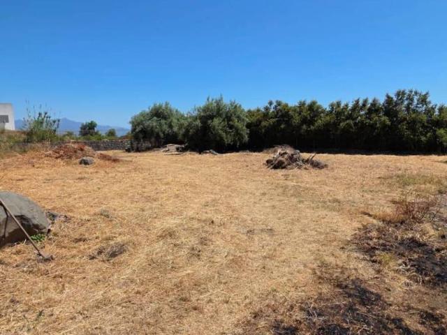 Terreno in vendita a Giarre, Sicilia