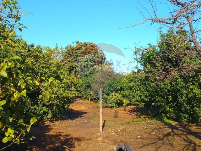 Terreno in vendita a Giarre, Sicilia