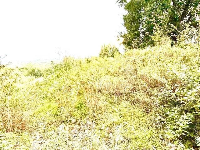 Terreno in vendita a Giarre, Sicilia