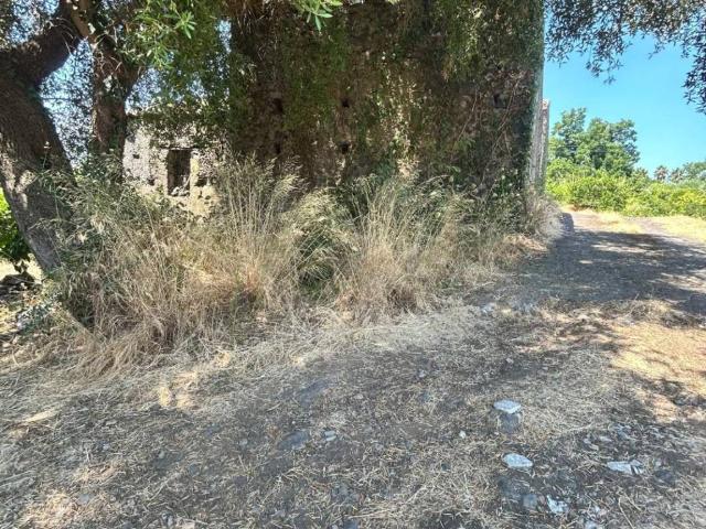 Terreno in vendita a Giarre, Sicilia