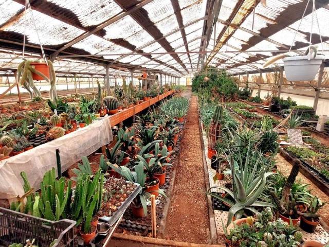 Terreno in vendita a Giarre, Sicilia