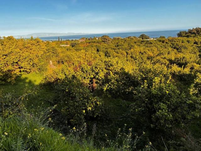 Terreno in vendita a Giarre, Sicilia