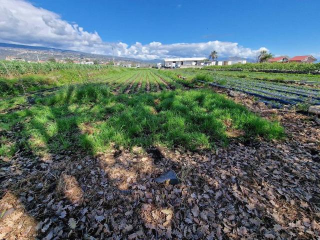 Terreno in vendita a Macchia, Giarre