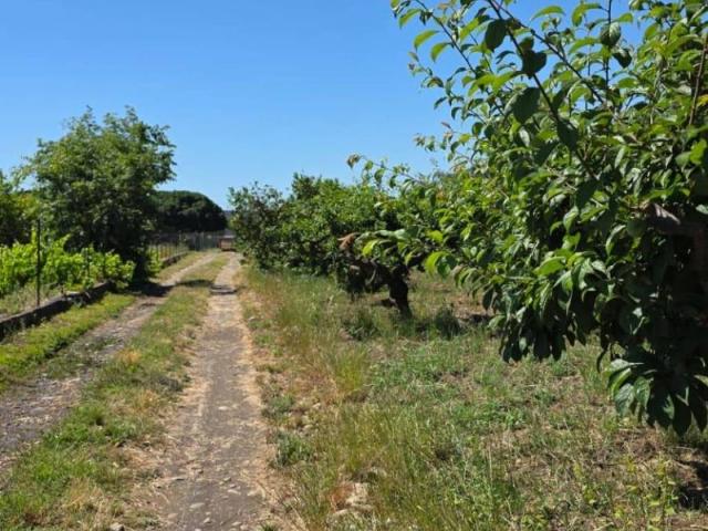 Terreno in vendita a Giarre, Sicilia