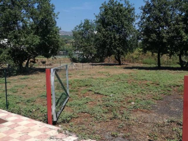 Terreno in vendita a Giarre, Sicilia