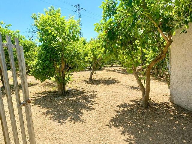 Terreno in vendita a Giarre, Sicilia