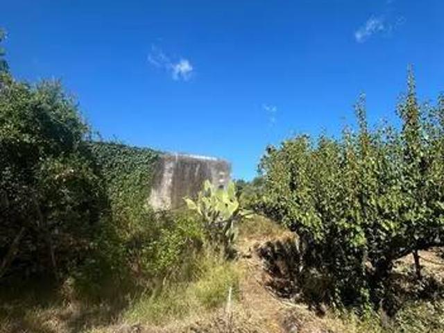 Terreno in vendita a Giarre, Sicilia