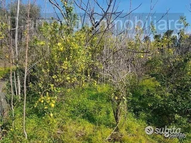 Terreno in vendita a Giarre, Sicilia