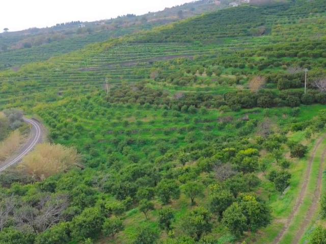 Terreno in vendita a Giarre, Sicilia