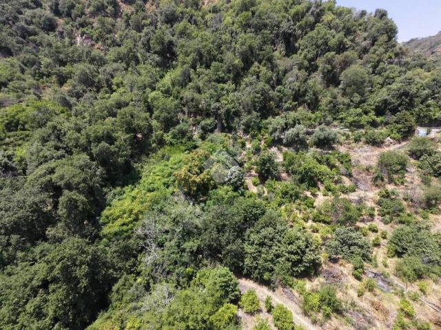 Terreno in vendita a Sciara, Giarre