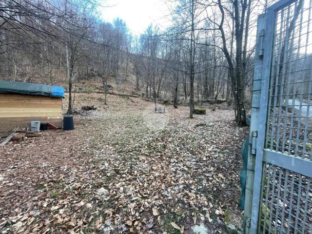 Terreno in vendita a Prese Damon, Piemonte