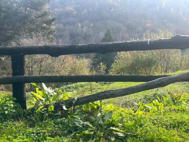 Terreno in vendita a Borgata Forceria, Piemonte