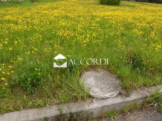 Terreno in vendita a Cusignana, Giavera Del Montello