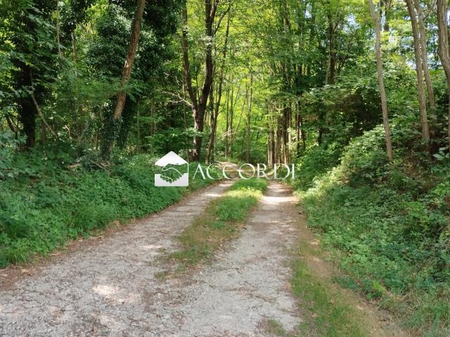 Terreno in vendita a Giavera Del Montello, Veneto
