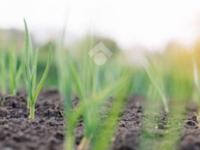 Terreno in vendita a Cusignana, Giavera Del Montello