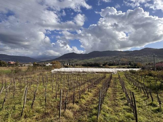 Terreno in vendita a Giffoni Sei Casali, Campania