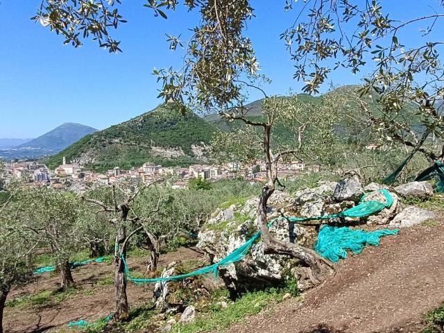 Terreno in vendita a Votraci, Montecorvino