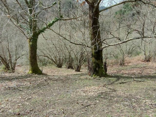 Terreno in vendita a Chieve, Giffoni Valle Piana