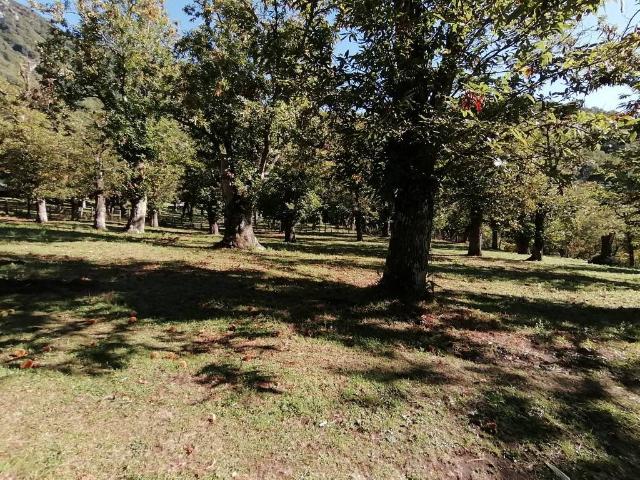 Terreno in vendita a Curticelle, Giffoni Valle Piana