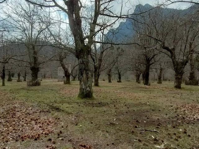Terreno in vendita a San Giovanni, Giffoni Valle Piana