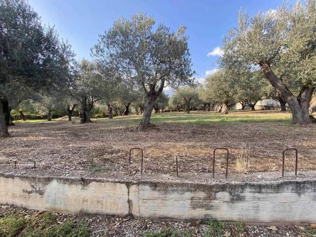Terreno in vendita a Giffoni Valle Piana, Campania