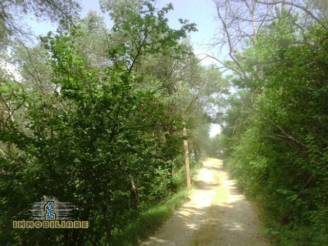 Terreno in vendita a Giffoni Valle Piana, Campania