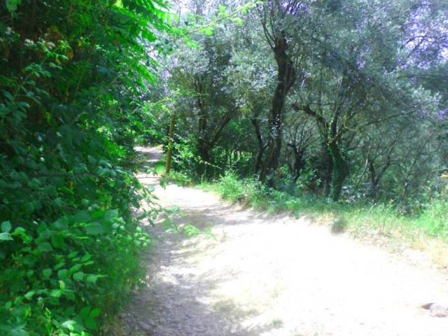 Terreno in vendita a Giffoni Valle Piana, Campania