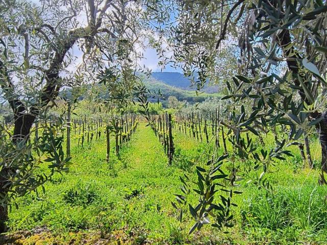 Terreno in vendita a Giffoni Valle Piana, Campania