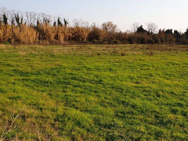 Terreno in vendita a Giffoni Valle Piana, Campania