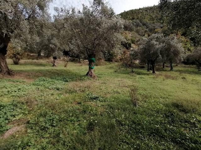 Terreno in vendita a San Giovanni, Giffoni Valle Piana