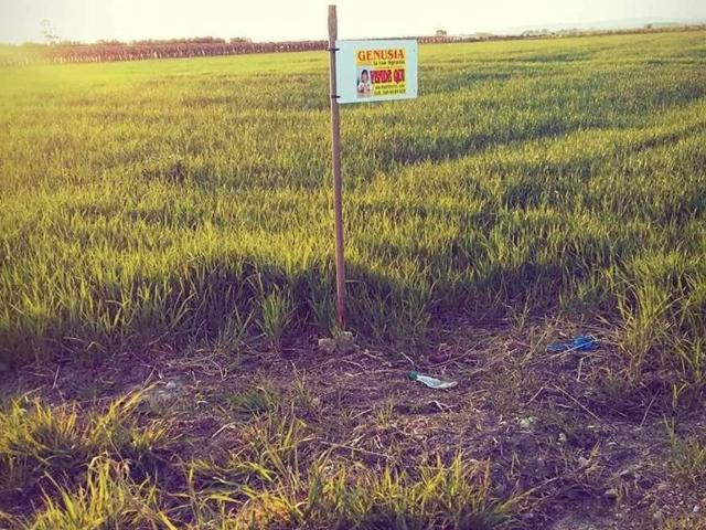 Terreno in vendita a Puglia, Taranto