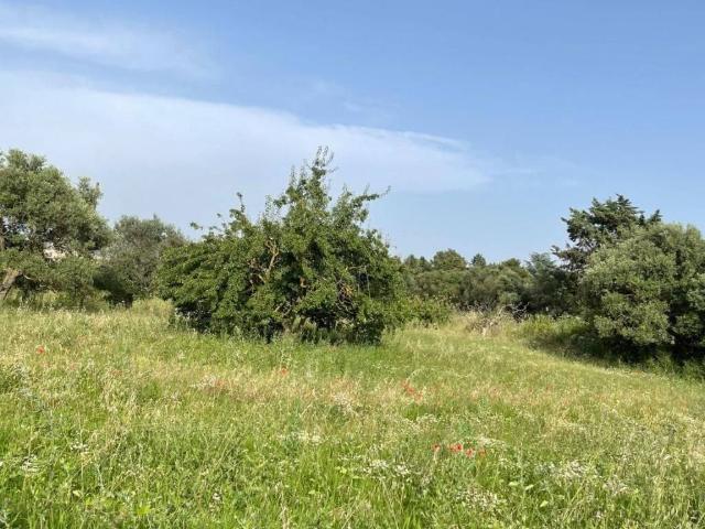 Terreno in vendita a Puglia, Bari