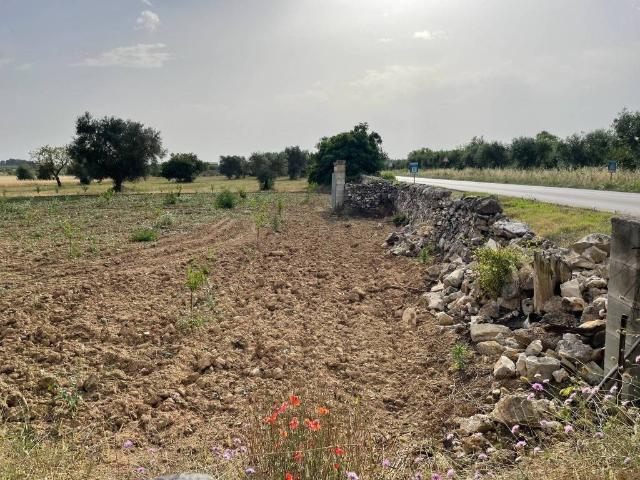 Terreno in vendita a Puglia, Bari