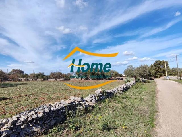 Terreno in vendita a Puglia, Bari