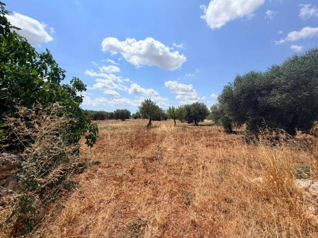 Terreno in vendita a Puglia, Bari