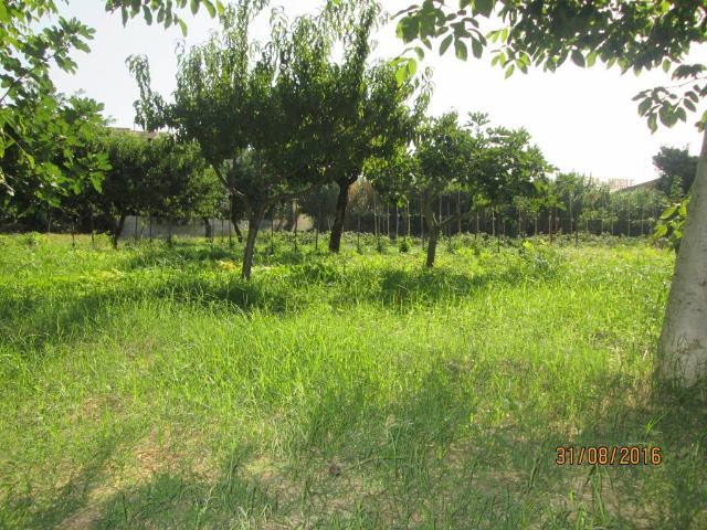 Terreno in vendita a Calabria, Reggio Calabria