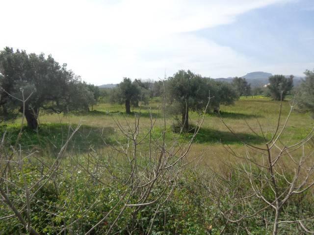 Terreno in vendita a Calabria, Reggio Calabria