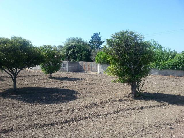 Terreno in vendita a Calabria, Reggio Calabria