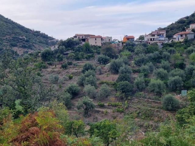 Terreno in vendita a Gioiosa Marea, Sicilia