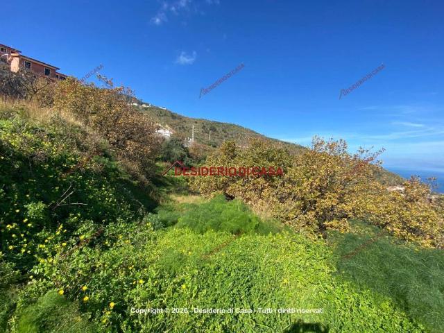 Terreno in vendita a San Giorgio, Gioiosa Marea