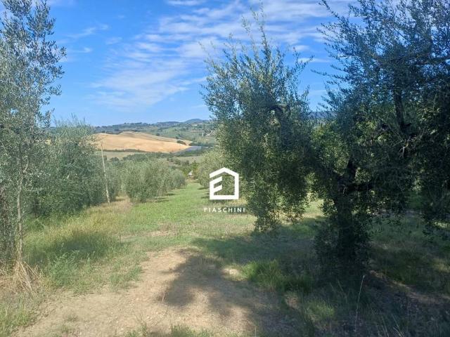 Terreno in vendita a Giove, Terni